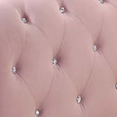 Adkins Daybed w/Trundle (Twin), Pink Velvet Acme