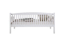 Caryn Daybed (Twin), White Finish Acme