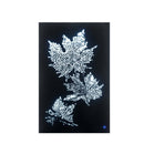 Talisha Wall Art w/Led, Smoky Glass & Faux Crystal Acme