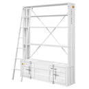 Cargo Bookcase w/Ladder, White Finish Acme