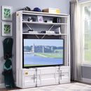 Cargo Bookcase w/Ladder, White Finish Acme