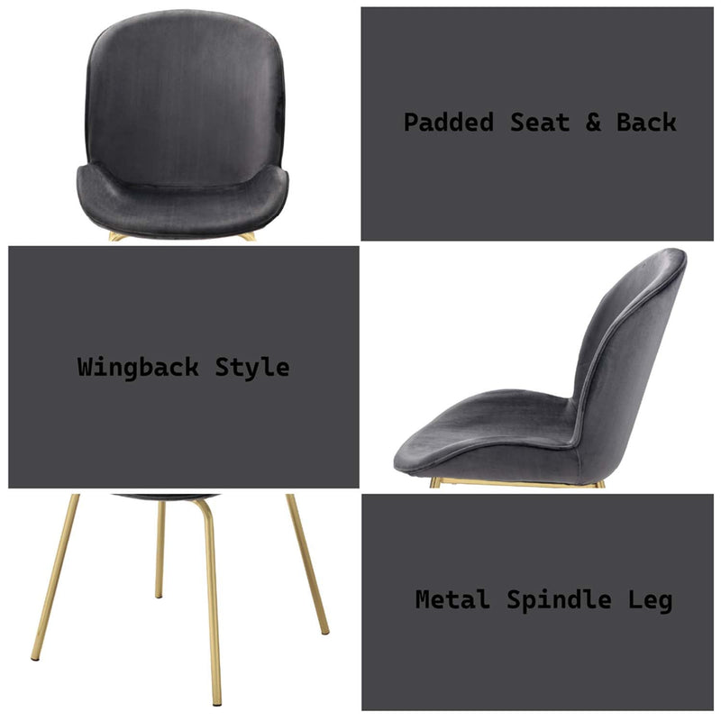 Chuchip Side Chair 2Pc, Gray Velvet & Gold Finish Acme