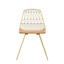 Fantasia Side Chair 2Pc, Whiskey Faux Leather & Gold Finish Acme