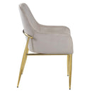 Barnard Side Chair 2Pc, Gray Velvet & Mirrored Gold Finish Acme
