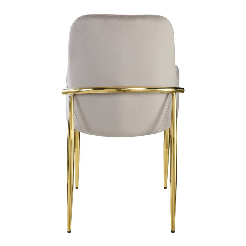 Barnard Side Chair 2Pc, Gray Velvet & Mirrored Gold Finish Acme