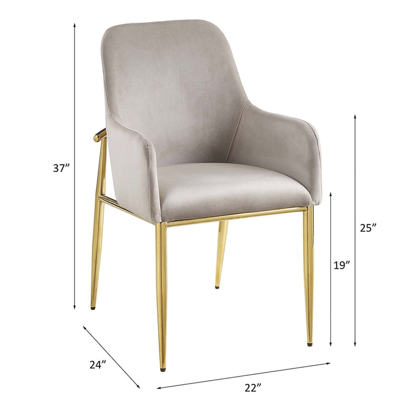 Barnard Side Chair 2Pc, Gray Velvet & Mirrored Gold Finish Acme