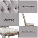 Ariadne Side Chair 2Pc, Velvet & Antique Platinum Finish Acme