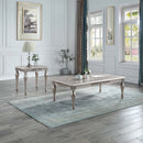 Pelumi End Table, Platinum Finish Acme