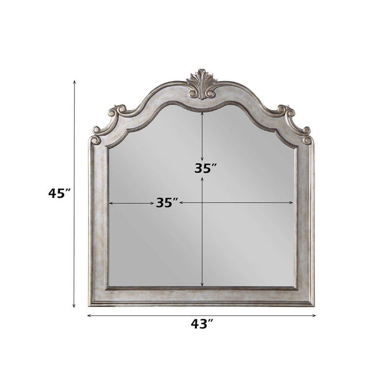 Esteban 43"x45" Mirror, Antique Champagne Finish Acme