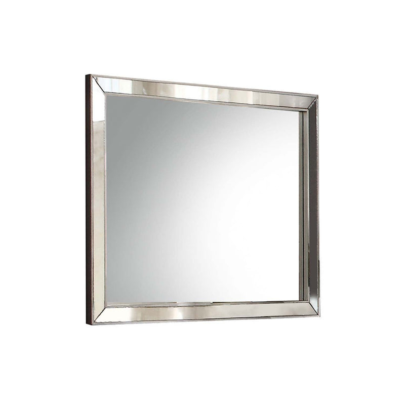 Voeville II 32"x36" Mirror, Platinum Finish Acme