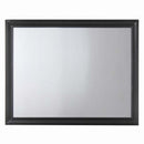 Naima 47"x36" Mirror, Black Finish Acme