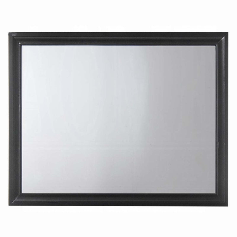 Naima 47"x36" Mirror, Black Finish Acme