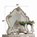 Ragenardus 46"x48" Mirror, Antique White Finish Acme