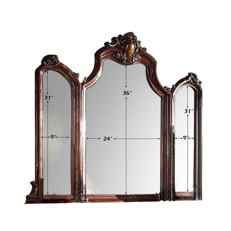 Picardy 57"x45" Mirror, Honey Oak Finish Acme