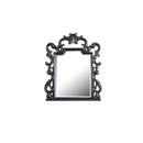 House Delphine 48"x40" Mirror, Charcoal Finish Acme