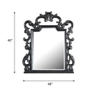 House Delphine 48"x40" Mirror, Charcoal Finish Acme