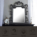 House Delphine 48"x40" Mirror, Charcoal Finish Acme