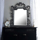 House Delphine 48"x40" Mirror, Charcoal Finish Acme
