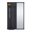 Cargo 25"x40" Mirror, Gunmetal Finish Acme