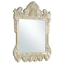Vatican 44"x61" Mirror, Champagne Silver Finish Acme
