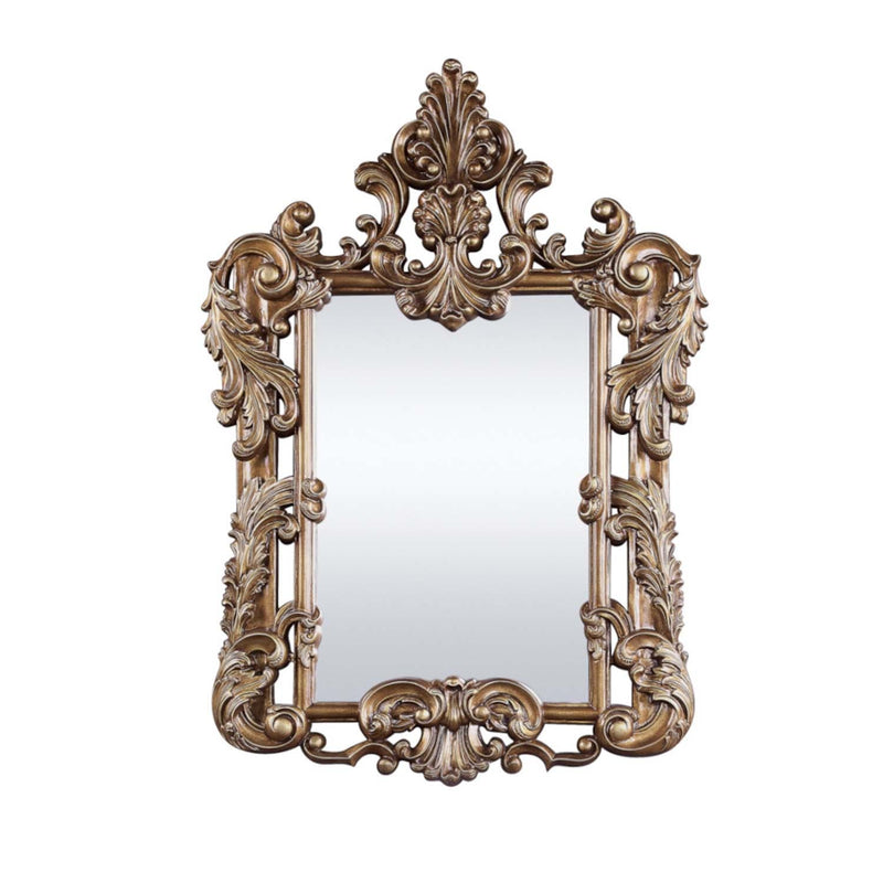 Constantine 43"x60" Mirror, Brown & Gold Finish Acme