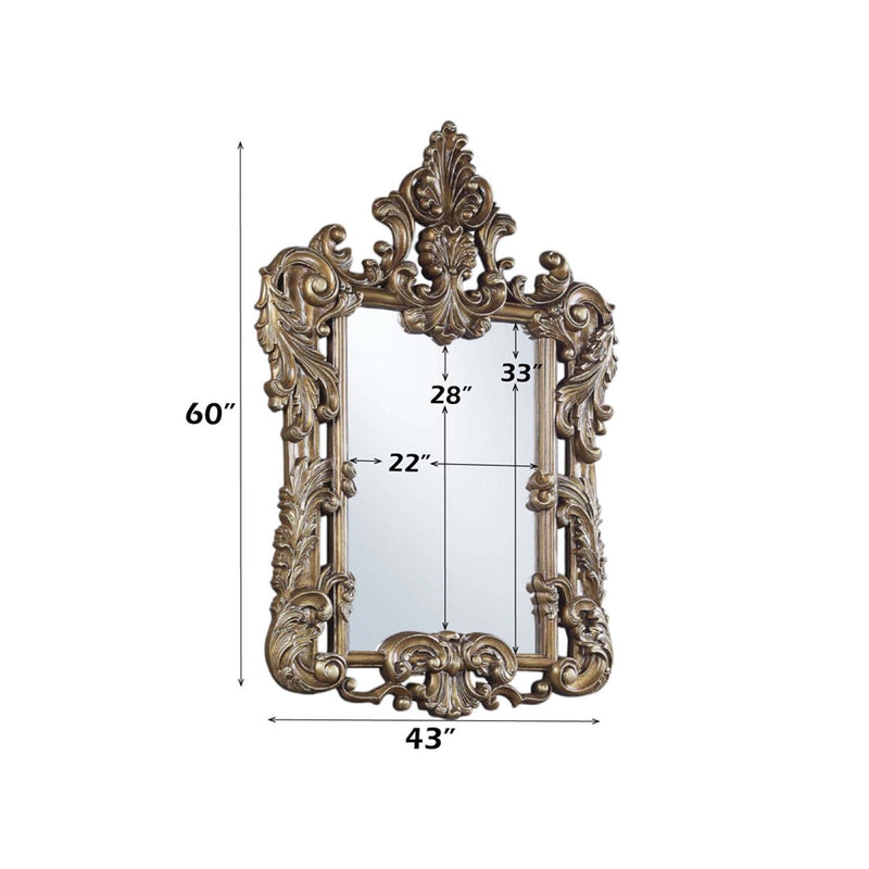Constantine 43"x60" Mirror, Brown & Gold Finish Acme