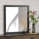 Eos 28"x32" Mirror, Walnut & Black Finish Acme
