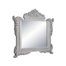 Valkyrie 60"x54" Mirror, Antique Platinum Finish Acme