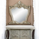 Danae 55"x59" Mirror, Champagne & Gold Finish Acme