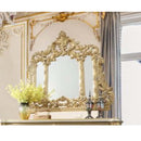 Cabriole 54"x60" Mirror, Gold Finish Acme