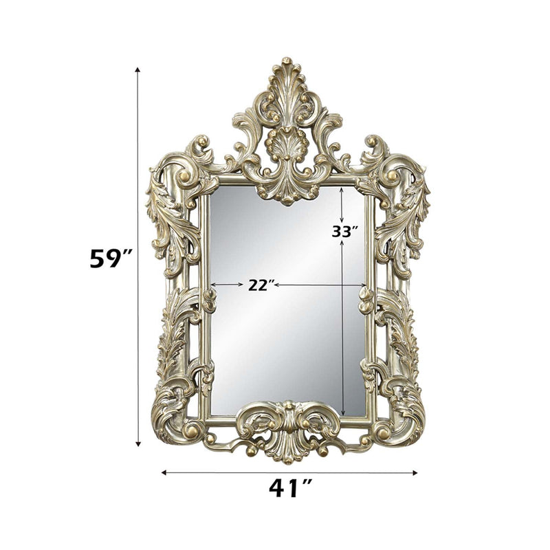 Sorina 41"x59" Mirror, Antique Gold Finish Acme
