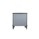 House Beatrice Nightstand, Charcoal & Light Gray Finish Acme