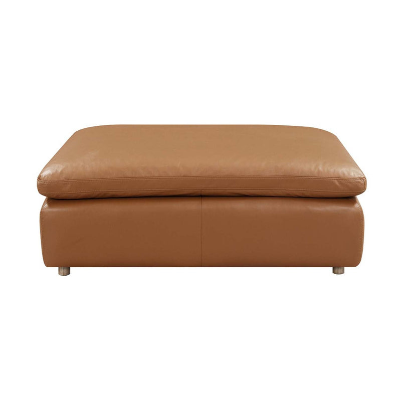 Brighton Ottoman, Brown Top Grain Leather Acme