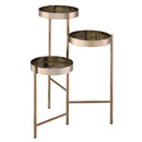 Namid Plant Stand, Gold Finish Acme