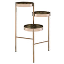 Namid Plant Stand, Gold Finish Acme