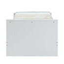 Ragna Twin Bed, White Finish Acme