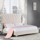 Faiz King Bed, Beige Velvet Acme