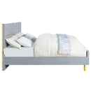 Gaines Queen Bed, Gray High Gloss Finish Acme