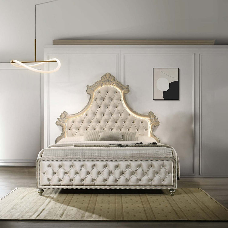 Lucienne King Bed w/Led, Beige Velvet Acme