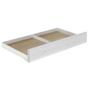 Rapunzel Trundle (Twin), White Finish Acme