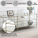 Zaba  71" TV Stand, Glass Top & Champagne Finish Acme