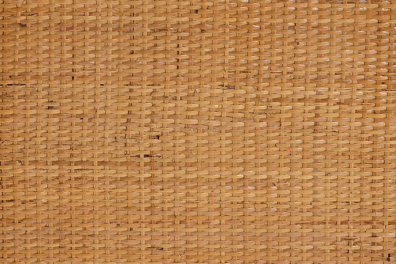 Kenny Two Drawers and Doors Arched Natural Rattan Storage Cabinet