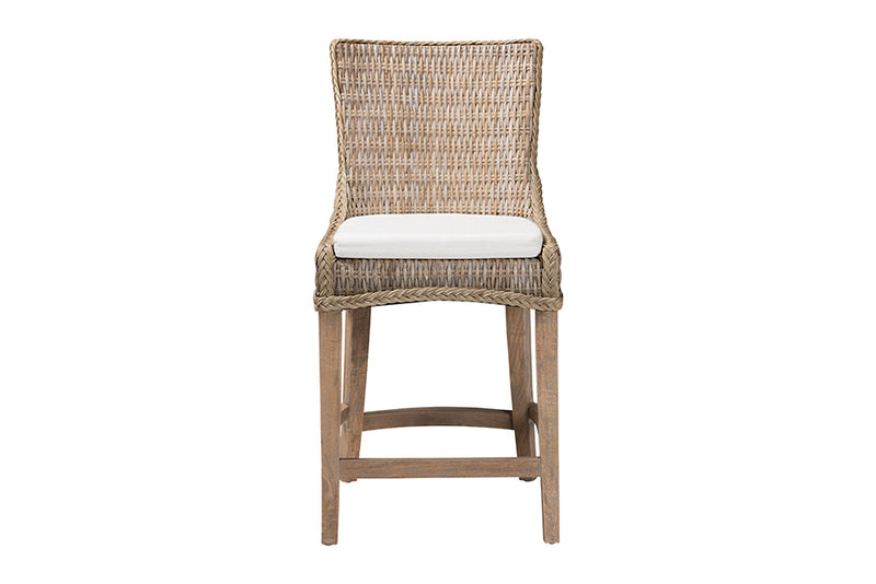 Novia Wingback Gray Rattan Counter Stool with Cushion