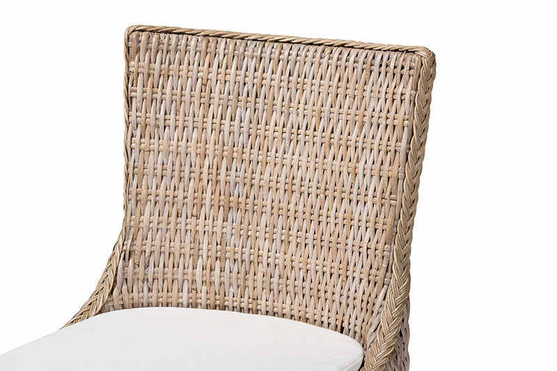 Novia Wingback Gray Rattan Counter Stool with Cushion