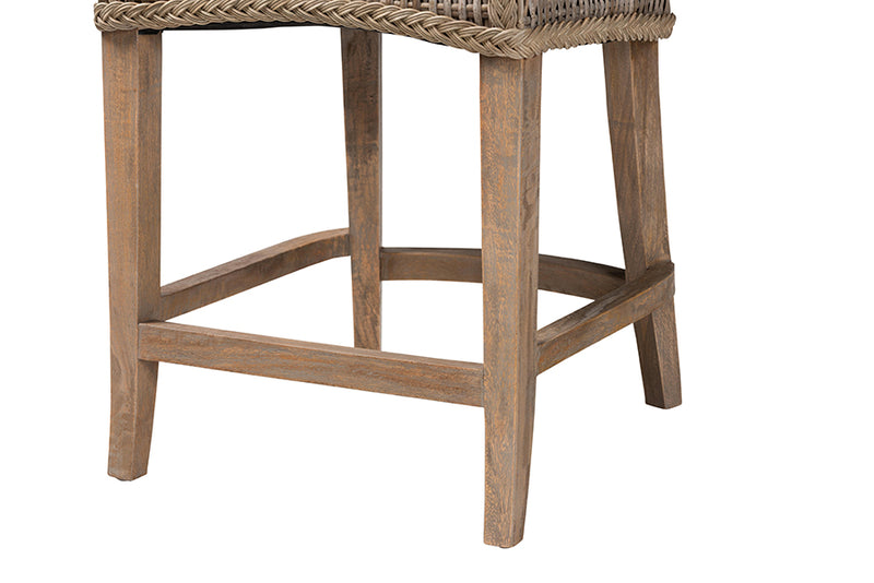 Novia Wingback Gray Rattan Counter Stool with Cushion