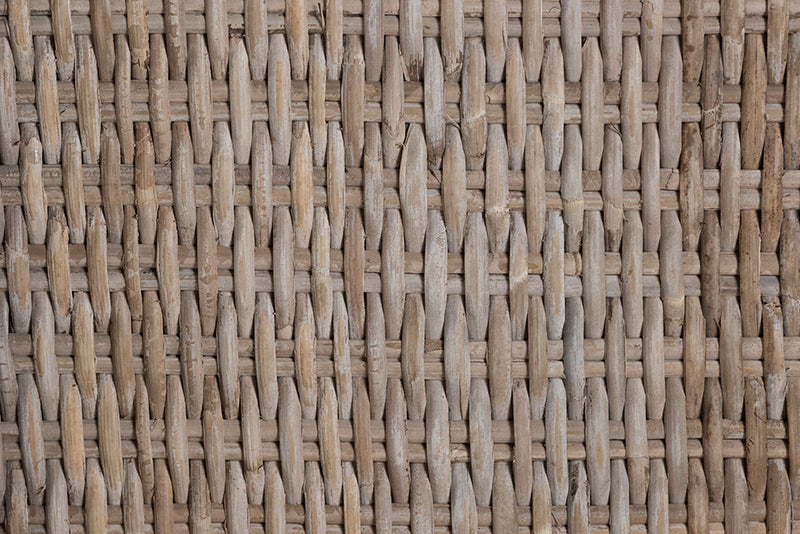 Novia Wingback Gray Rattan Counter Stool with Cushion