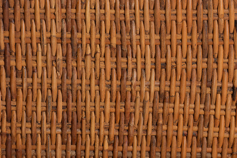 Novia Wingback  Natural Rattan Counter Stool with Cushion