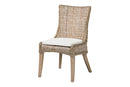 Novia Wingback Gray Rattan Dining Chair with Cushion