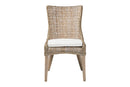 Novia Wingback Gray Rattan Dining Chair with Cushion