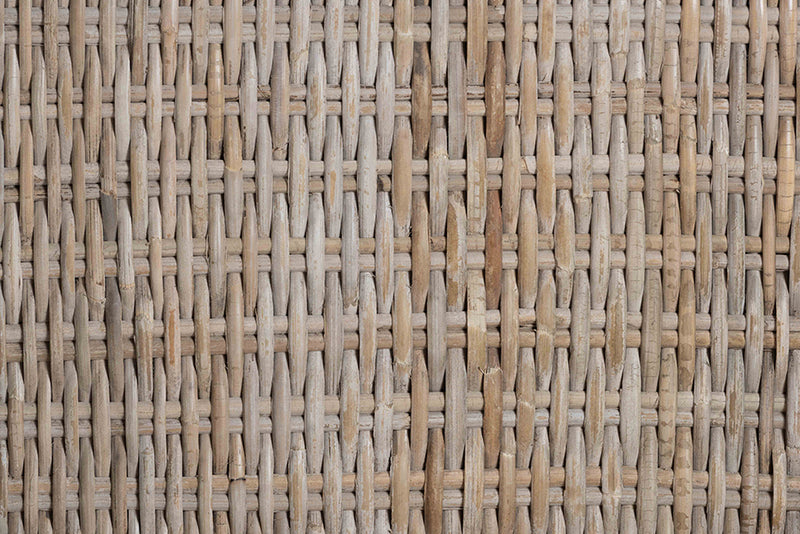 Novia Wingback Gray Rattan Dining Chair with Cushion